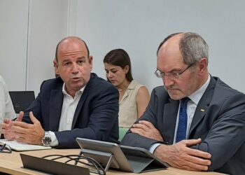 AMETIC - Director TIC - Luis Pardo - Tai Editorial España