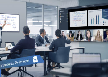 soluciones PPDS y pantallas Philips-directortic-taieditprial