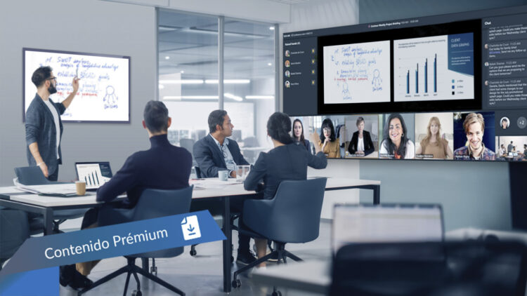 soluciones PPDS y pantallas Philips-directortic-taieditprial