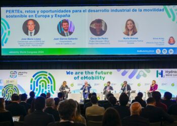 PERTE VEC-directortic-taieditorial