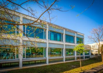 Universidad de las Islas Baleares-directortic-taiediorial