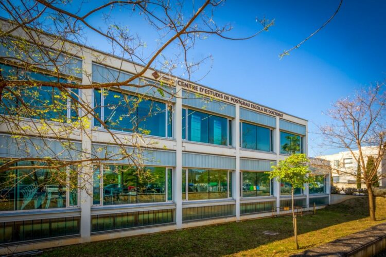 Universidad de las Islas Baleares-directortic-taiediorial