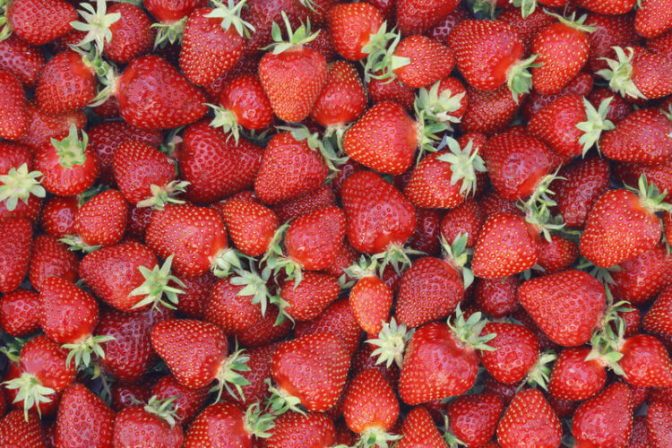 Strawberry, el nuevo modelo de IA de OpenAI que podría llegar en otoño