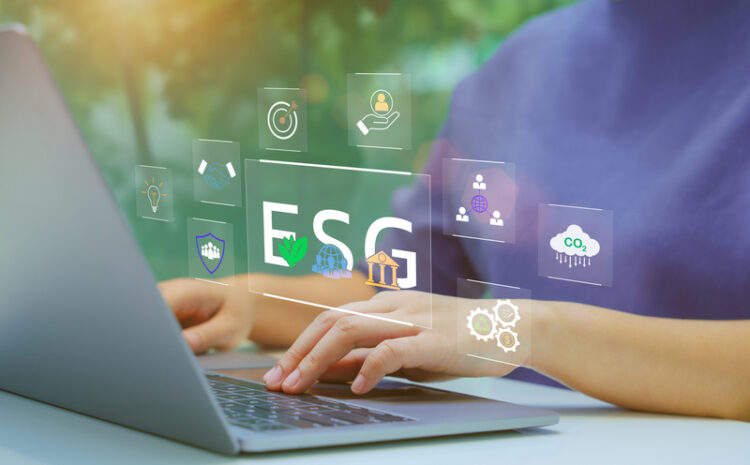 DESPACE y HUCAÍN-Directortic