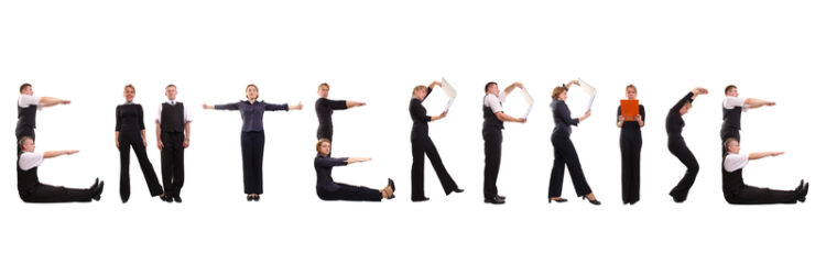 Empresa mínima vital-Directortic